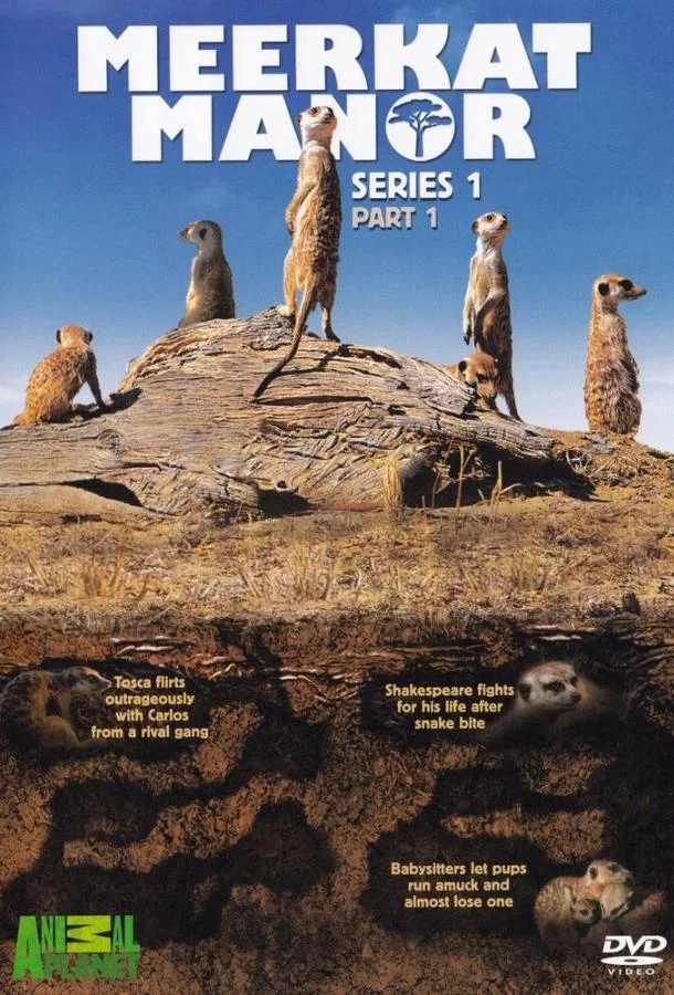 Смотреть Сериал Поместье сурикат(2005) бесплатно