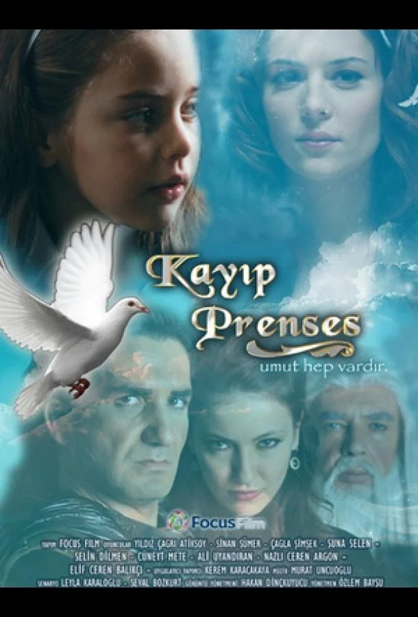 Смотреть Сериал Потерянная принцесса(2010) бесплатно