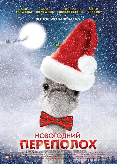 Смотреть Сериал Новогодний переполох(2013) бесплатно