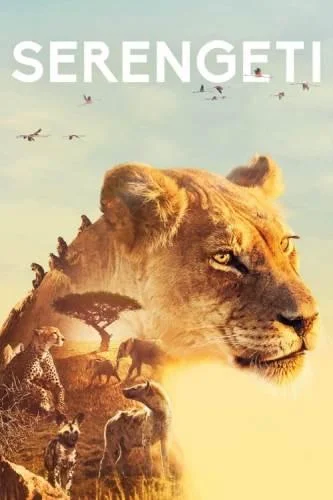 Смотреть Сериал BBC: Серенгети(2019) бесплатно