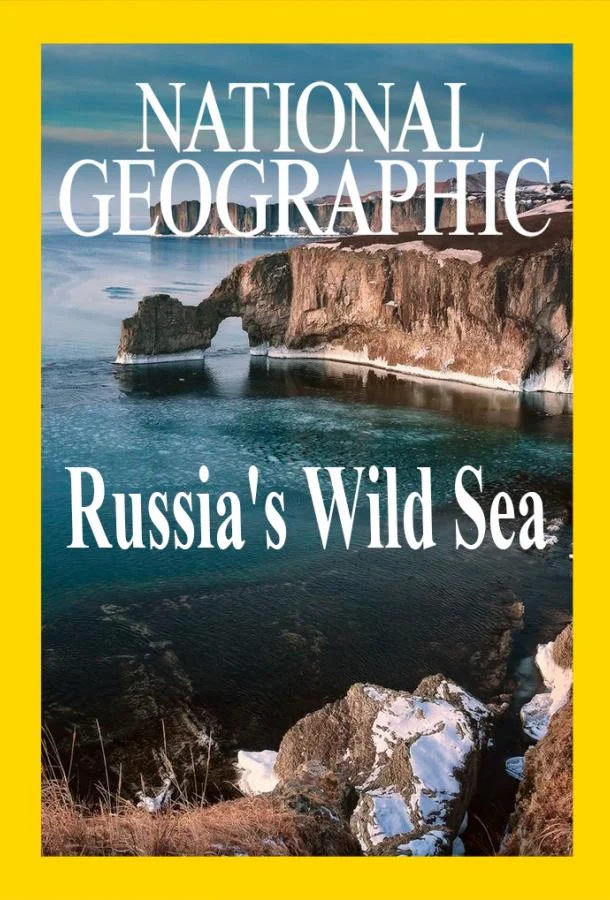 Смотреть Сериал Дикое море России(2019) бесплатно