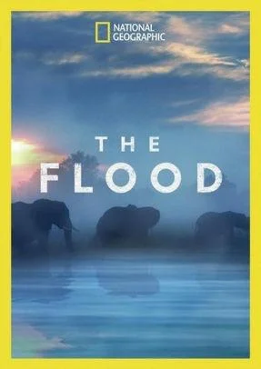 Смотреть Сериал Потоп(2018) бесплатно