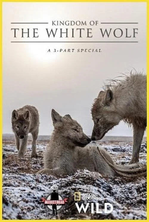 Смотреть Сериал Королевство белого волка(2019) бесплатно