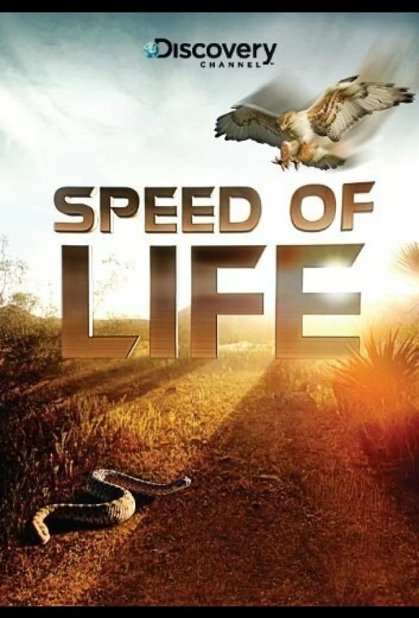 Смотреть Сериал Скорость жизни(2010) бесплатно
